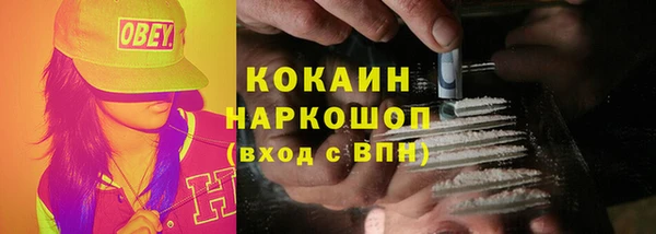 прущие грибы Алексин