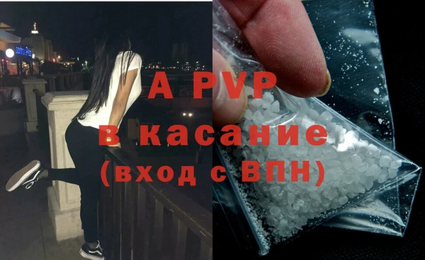прущие грибы Алексин