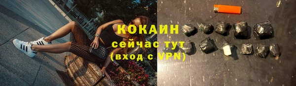 спиды Алзамай