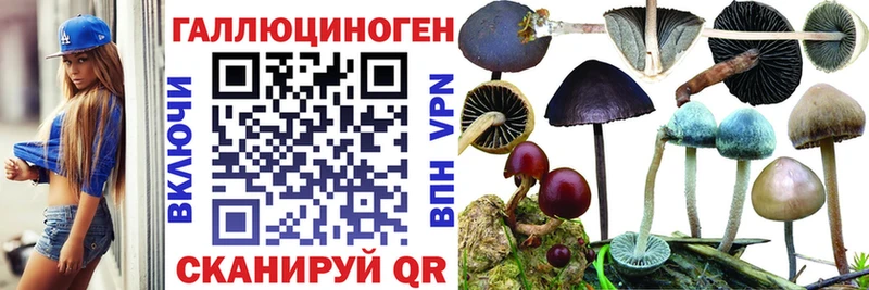 где купить   Любань  Галлюциногенные грибы прущие грибы 
